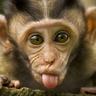 goofyツ