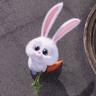 Snowball