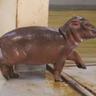 Baby Hippo