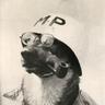 FlyingLemur