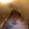 Dj0ksa