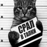 пенес