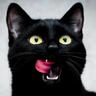Licorice