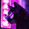 ✪ 酷猫