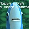 Вак бан получил