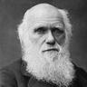 ✪ Uncle Darwin