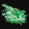 Narvasadata
