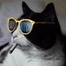 MR.VIDEPIDE