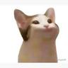 PopcatPoyraz