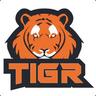 Tigr