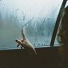 Святой отец ♥ awpchko