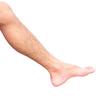 Leg