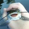 MrFish™
