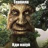 заебал этот дуб