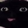 $skäteböärd$
