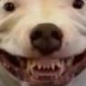 Eddie