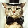 EL GATO
