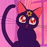 SHABBAT NONSTOP