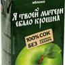 толчковый швунг