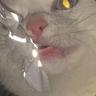 124