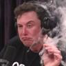 elon kush