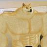 Buff Doge