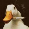 gurripato