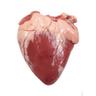 садик