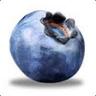 Pristine BlueBerry™