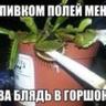 челендж 10000 подпи