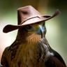 Hawk0