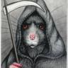 rat