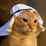 Habibi