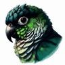 Greencheek