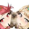 empty void Remi