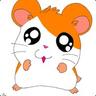 hamtaro