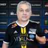 ORBAN VICTORY