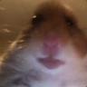 Big Hamster