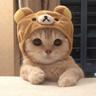 mooncake