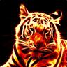 deTiger