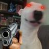 Dawg
