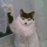 Kitler