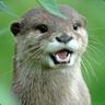 U Otter Be Dead