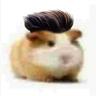 Barto