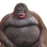 monke