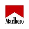 Marlboro enjoyer