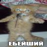 гавным гавно