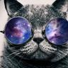 CoolCat