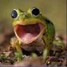 +(380) crazy frog