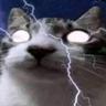 mewmewmewmew